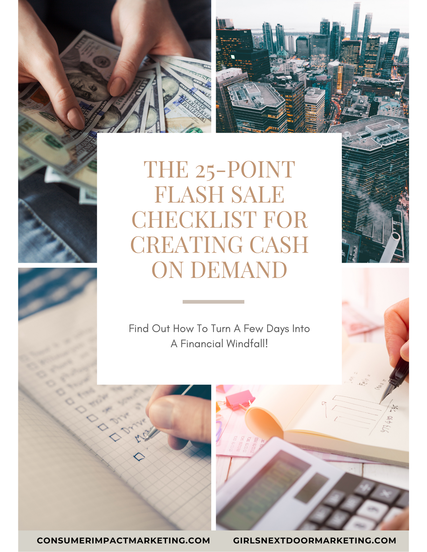 The 25-Point Flash Sale Checklist For Creating Cash On Demand Playbook - 18 Pages