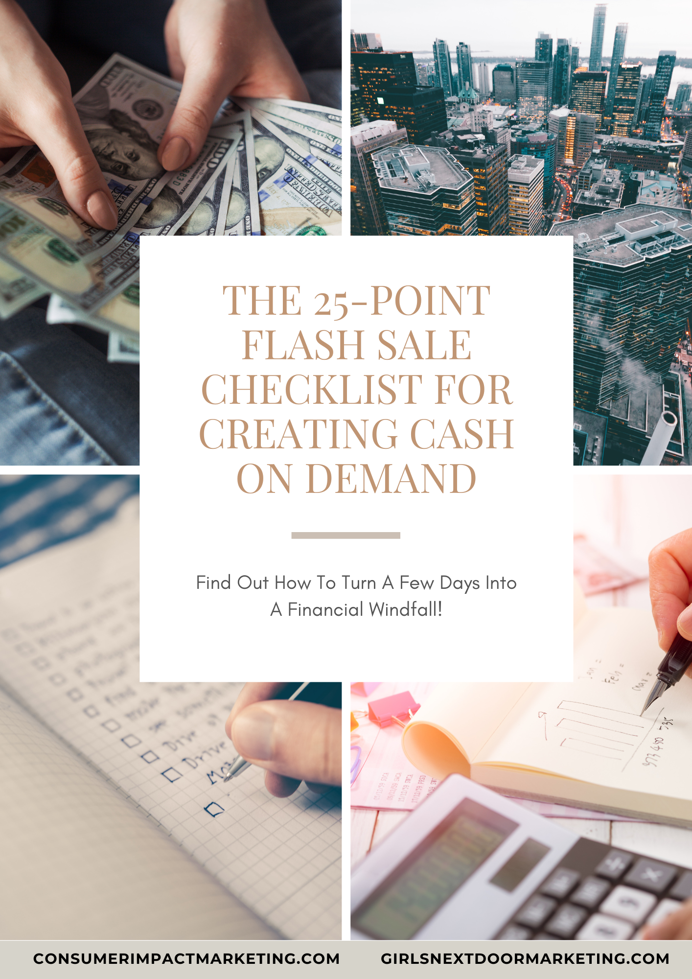 The 25-Point Flash Sale Checklist For Creating Cash On Demand Playbook- 18 Pages