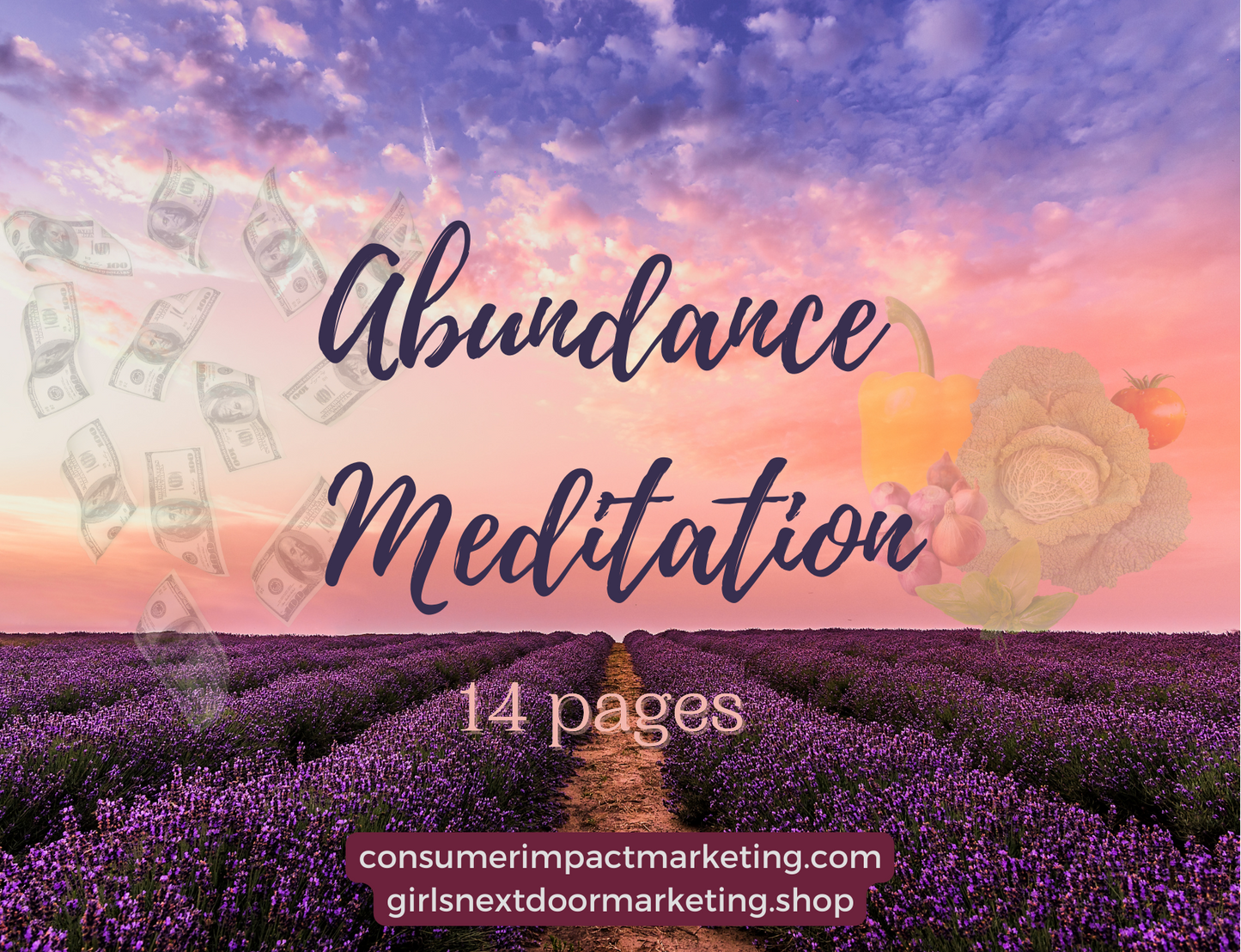 Abundance Meditation Card Deck - 14 Pages