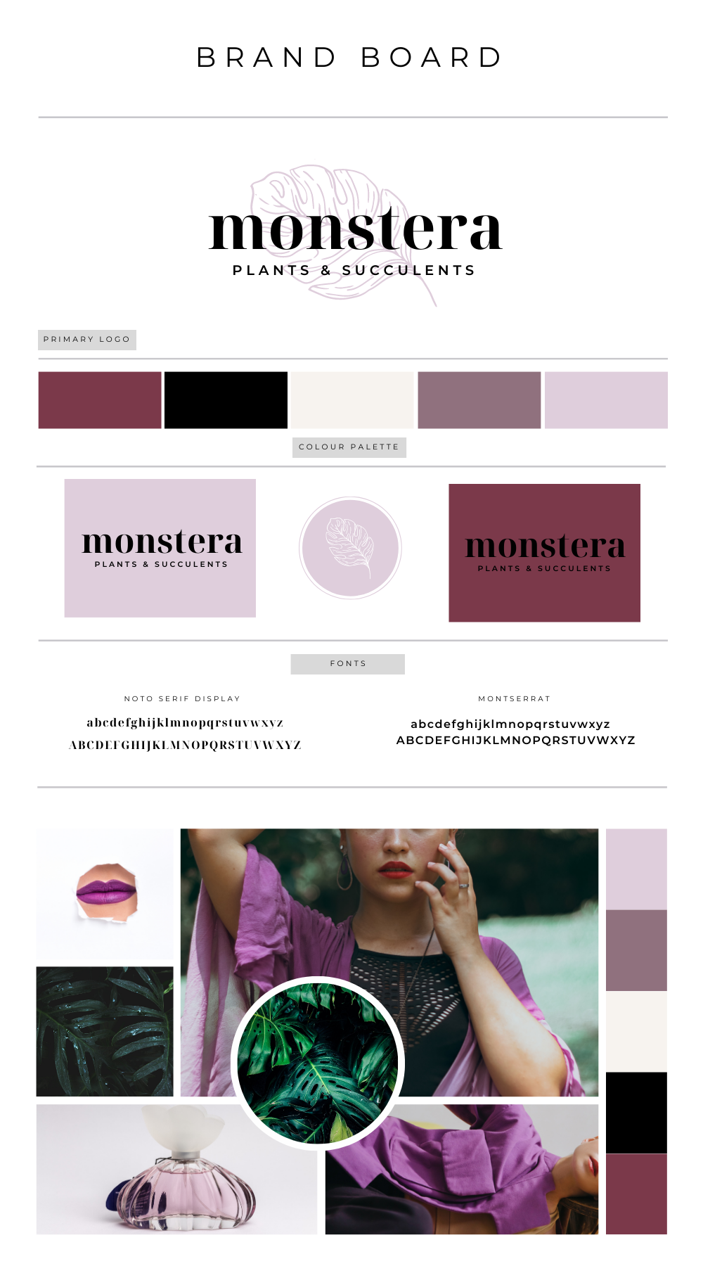 Branding Board 155 - Monstera Plants & Succulents