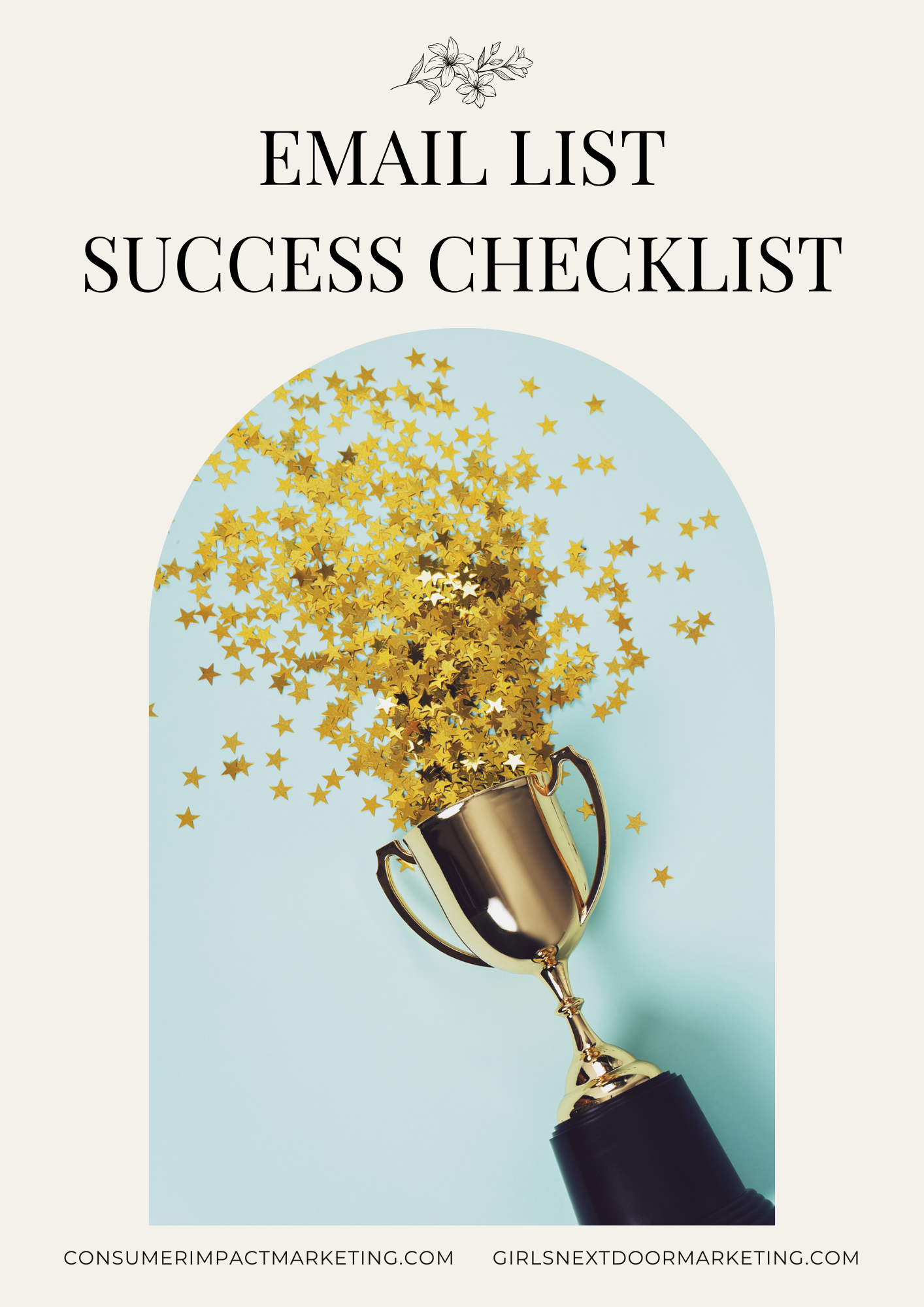 Email List Success Checklist - 8 Pages