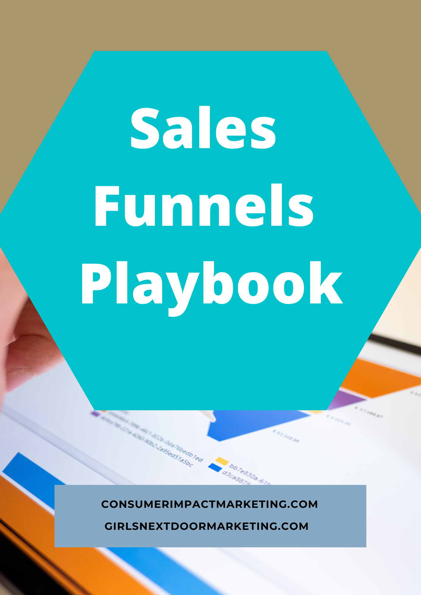 Sales Funnels Playbook - 89 Pages