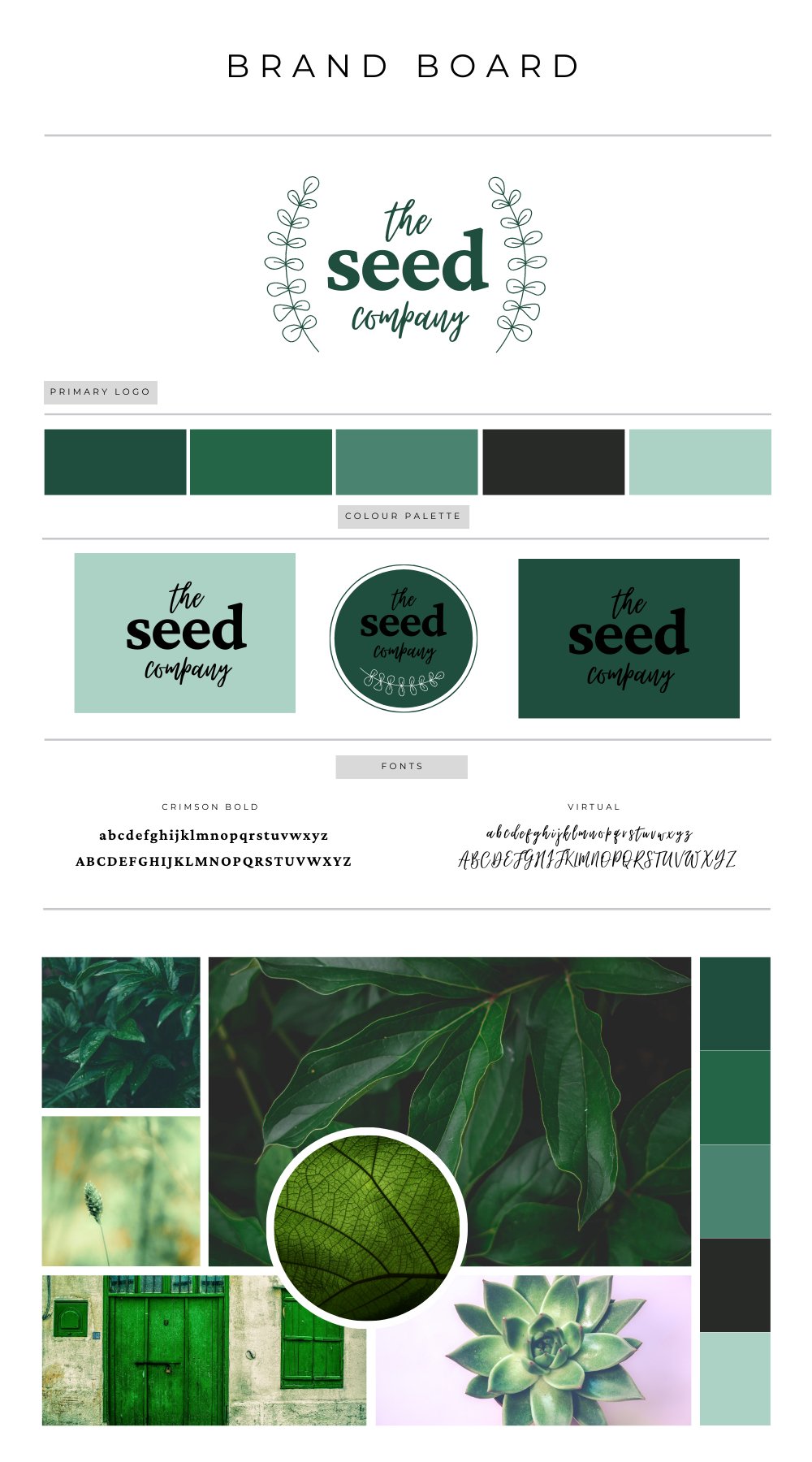 Branding Board 115 - The Seed Company - Girls Next Door Marketplace